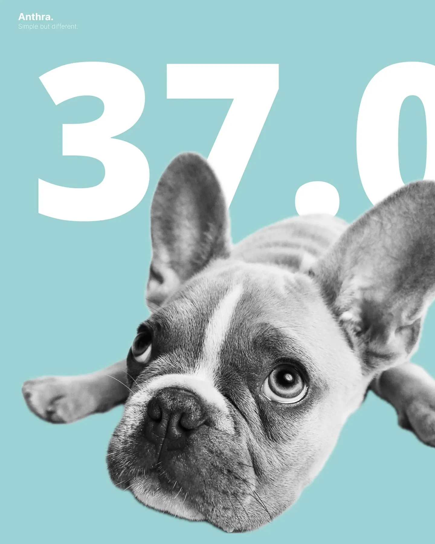 Anthra Instagram Post